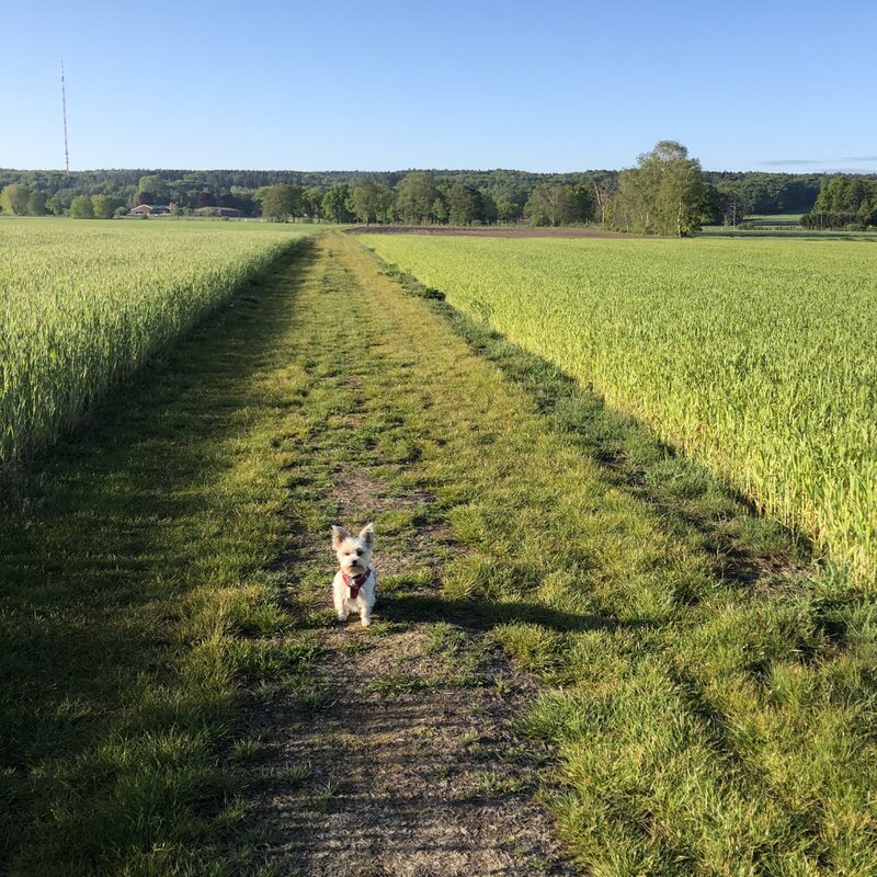 Unabh&auml;ngig &ndash; Dein Leben, Dein Business, Dein Weg