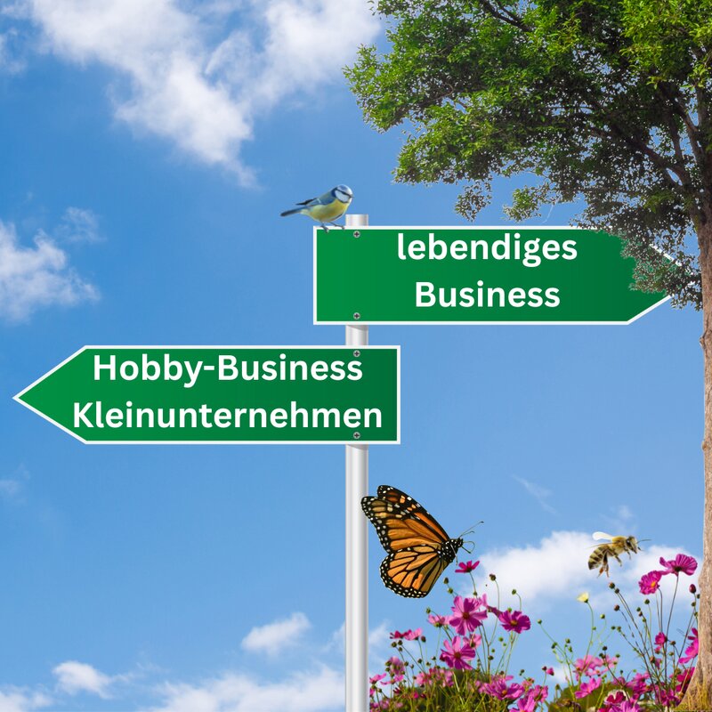 Phase 2: vom Hobby und Kleinunternehmen zum lebendigen Business